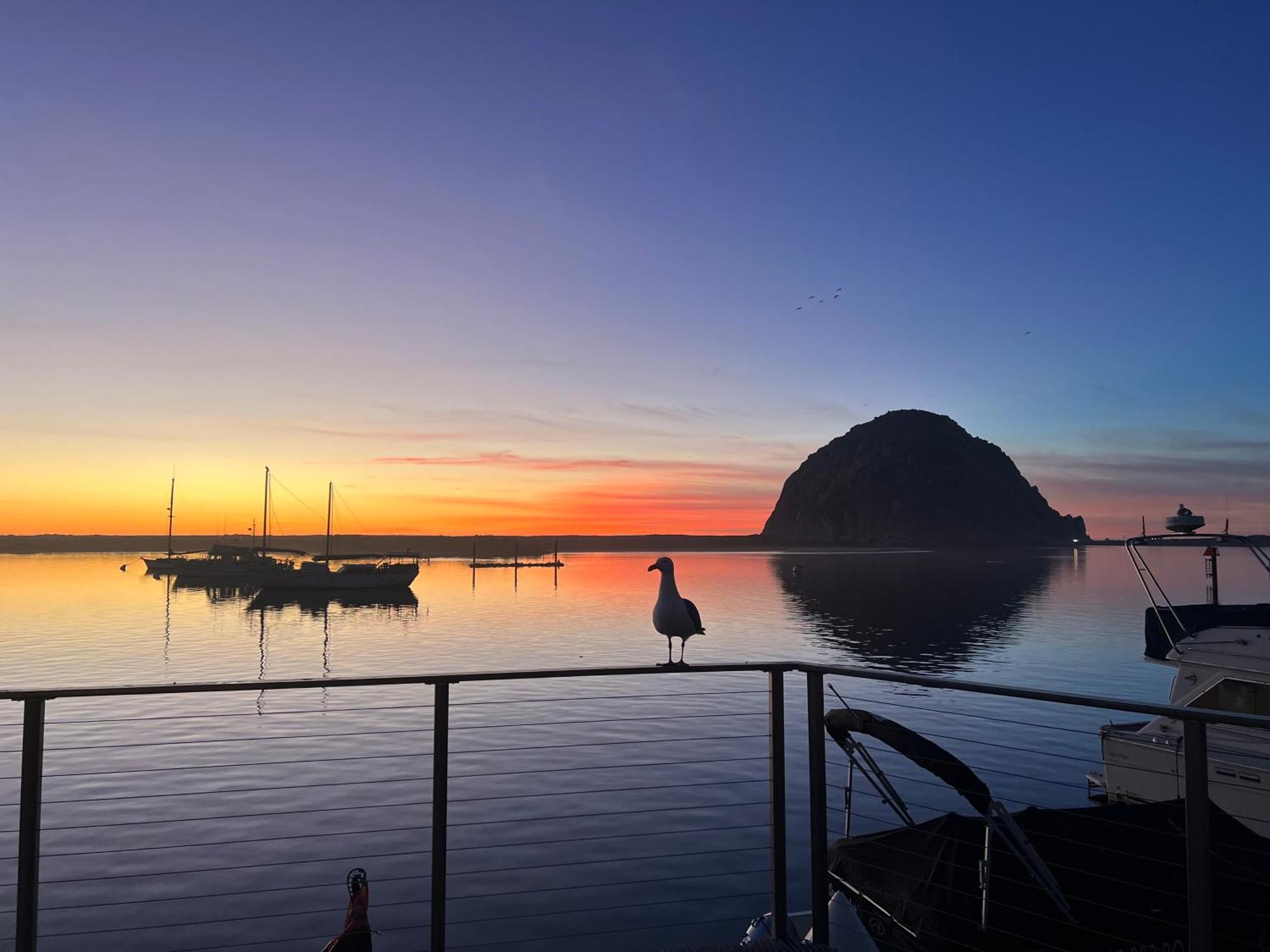 Harborwalk Inn Morro Bay Exterior foto